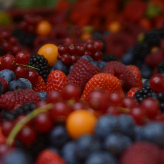 Sip Into Dry January: Discover the Magic of Kombucha Shrubs