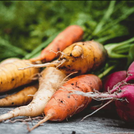 Root Veg Kimchi (Krautchi): A Flexible Fermentation Recipe for Seasonal Veggies