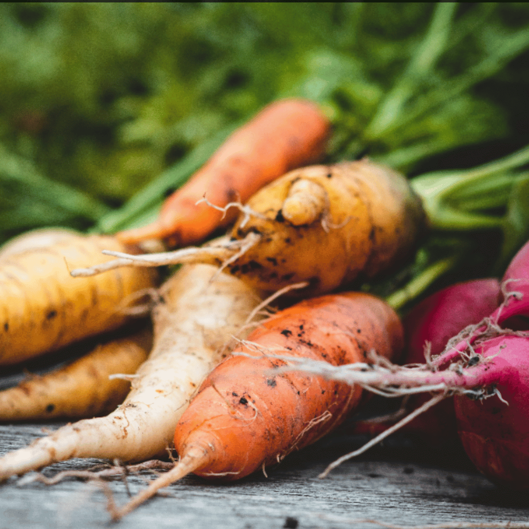 Root Veg Kimchi (Krautchi): A Flexible Fermentation Recipe for Seasonal Veggies