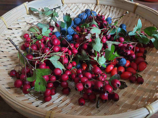 Why Kombucha Shrubs Are Perfect For Autumn