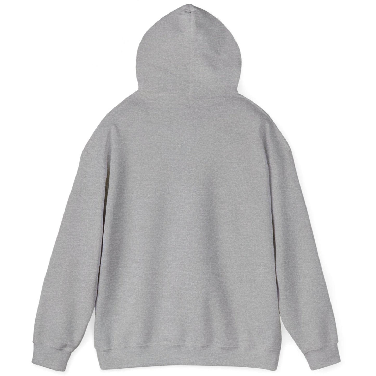 Kombucha Colour Pop Hoodie